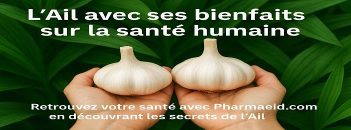 Le Miracle de l’Ail – Déverrouillez le Pouvoir Guérisseur de la Super Herbe de la Nature !