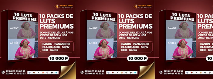 10 PACKS DE LUTS PREMIUMS