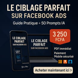 Ciblage parfait sur Facebook ads: stop au publicité sans retour optimiser tout dès maintenant