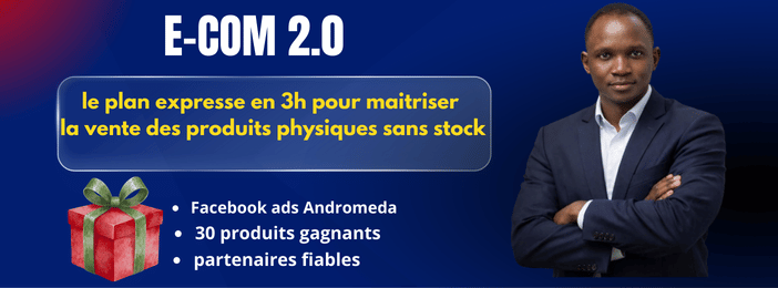 Vendre les produits physiques sans stock : la méthode simple en 3h pour bâtir un business rentable