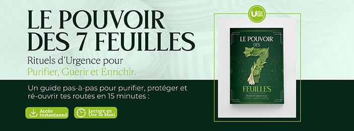 Le pouvoir des 7 feuilles: Rituels d'urgence pour purifier, guérir et enrichir