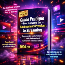 Guide Pratique pour la Revente des Abonnements Premium – Le Streaming