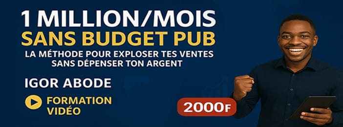 1 Million/Mois Sans Budget Pub : La Méthode Pour Exploser Tes Ventes Sans Dépenser Ton Argent