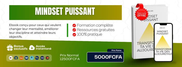 MINDSET PUISSANT : Transforme Ta Vie Dès Aujourd'hui