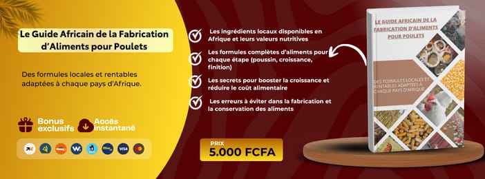 Des formules locales et rentables adaptées à chaque pays d’Afrique.