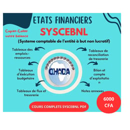 ETATS FINANCIERS SYSCEBNL