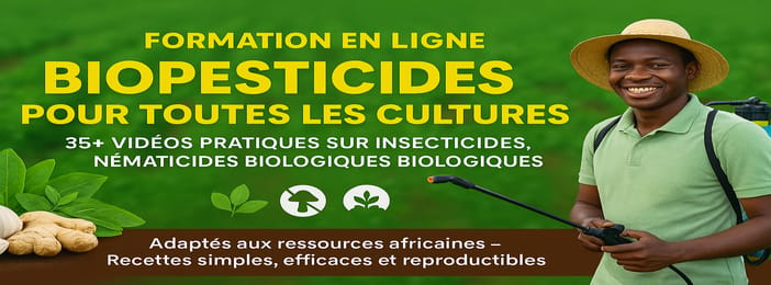 FORMATION A LA FABRICATION DES BIO PESTIDES POUR TOUT TYPES DE CULTURE