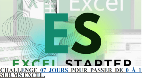 Excel STARTER