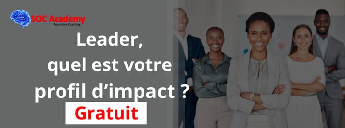 Leader, quel est votre profil d'impact ?