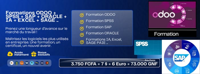 🎓FORMATIONS ODOO + SAP + SPSS + ORACLE + IA + EXCEL + SAGE ...