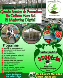 Formation en Agriculture Hors Sol et Marketing digital