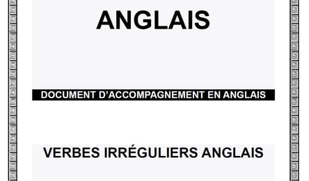 Ebook sur les verbes irréguliers - Cours d'anglais 1er et 2nd cycle du secondaire