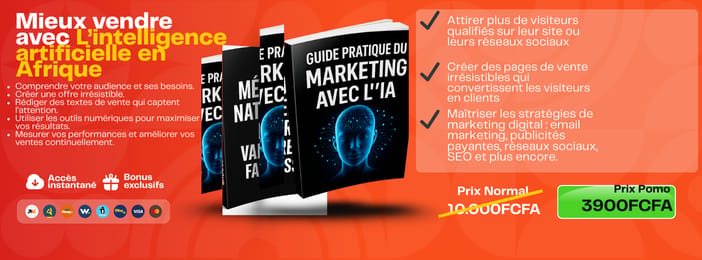 Mieux vendre sur internet, méthodes adaptées au marché africain