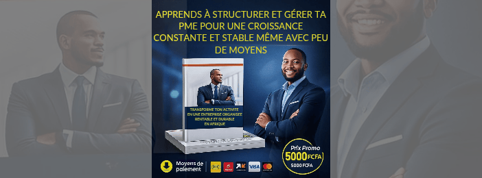 STRATÉGIES DE CROISSANCE DES PETITES ET MOYENNES ENTREPRISES EN AFRIQUE