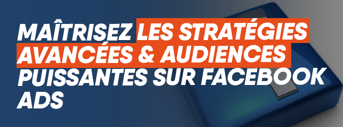 Formation Facebook Ads Expert : Devenez Spécialiste