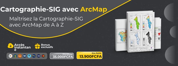 CARTOGRAPHIE ET SIG AVEC ARCMAP
