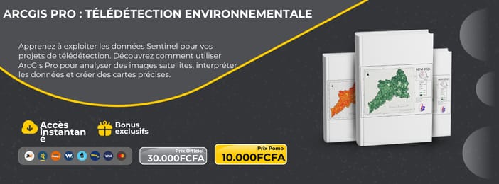 TÉLÉDÉTECTION APPLIQUÉE À L'ENVIRONNEMENT AVEC ARCGIS PRO