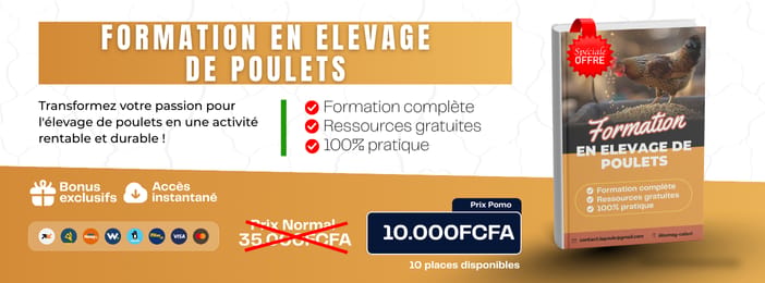 Formation Complète en Aviculture– Devenez un Éleveur de Poulet Performant