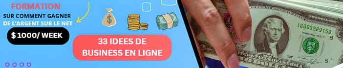 FORMATION SUR COMMENT GAGNER DE L'ARGENT SUR INTERNET PLUS 33 IDEES DE BUSINESS EN LIGNE