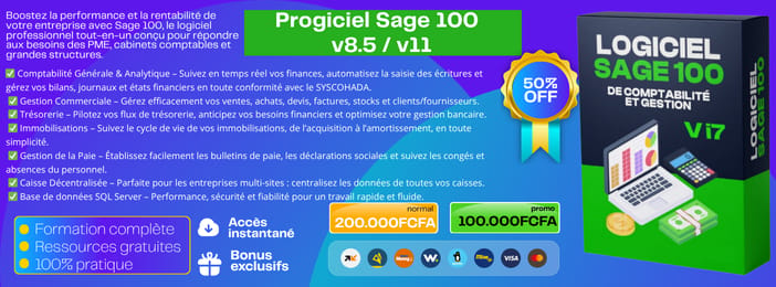 Progiciel Sage 100 – Solution complète de gestion d’entreprise