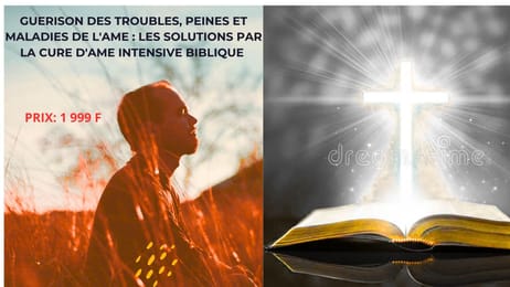 GUERIR DES MALADIES PSYCHIQUES : LES SOLUTIONS PAR LA CURE D'AME INTENSIVE BIBLIQUE .