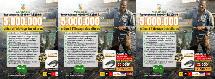 COMMENT REUSSIR DANS L'ELEVAGE DES SILURES ET GAGNER TON PREMIER MILLION