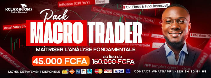 MACRO TRADER – APPRENDRE, MAÎTISER ET EXPLOITER L'ANALYSE FONDAMENTALE EN TRADING