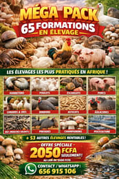 Méga pack 65 formations en élevage