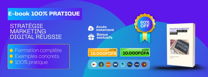 STRATÉGIE MARKETING DIGITAL GUIDE 100% PRATIQUE