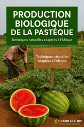 Guide pour la Production de Pastèque