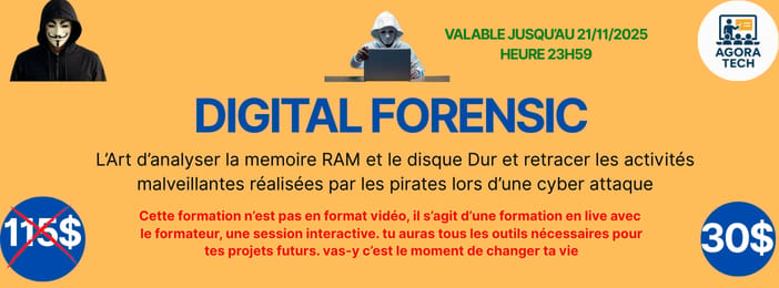 FORMATION INVESTIGATION NUMERIQUE ( RAM ET DISQUE EN FORMAT VIDEO DEJA  ENREGISTREES)