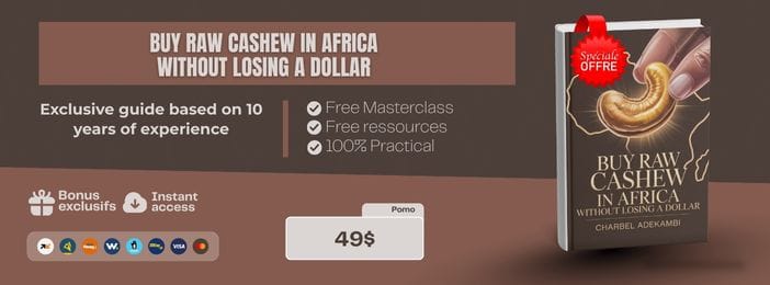 Buy Raw Cashew in Africa without losing a dollar
