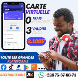 Carte Visa virtuelle et Compte PayPal Pro vérifié