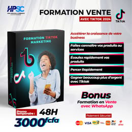 Formation TikTok Marketing : Vendez avec TikTok et WhatsApp Business
