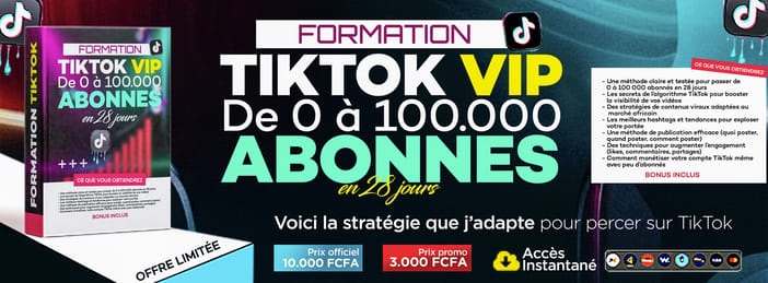 Formation TikTok VIP – Passez de 0 à 100 000 abonnés en 28 jours
