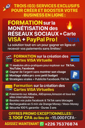 Monétisation des réseaux + Compte PayPal Pro + Carte Visa