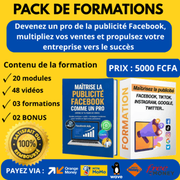 Maîtrisez la publicité Facebook de A à Z