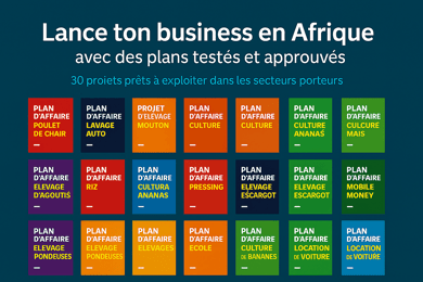 Lance ton business en AFRIQUE avec des plans d'affaires complets testés et approuvés