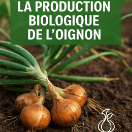 GUIDE DE PRODUCTION BIOLOGIQUE DE L'OIGNON