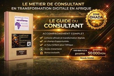 LE METIER DE CONSULTANT DIGITAL EN AFRIQUE