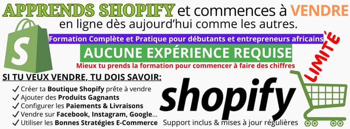 Formation SHOPIFY-E-Commerce-Dropshipping-Facebook Andromeda.
