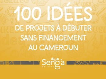 100 idées de projets à débuter sans financement en Afrique