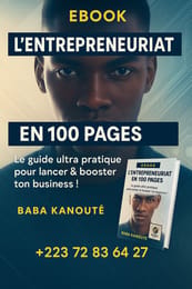 L'ENTREPRENEURIAT EN 100 PAGES L'essentiel pour réussir en affaires