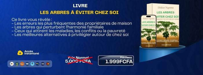 LES ARBRES À ÉVITER CHEZ SOI :CE QUE PERSONNE NE VOUS DIT EN AFRIQUE