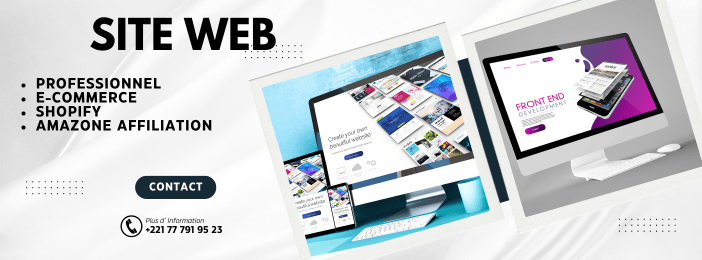 Site web professionnel ou de e-commerce