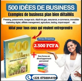 500 IDÉES DE BUSINESS POUR ENTREPRENDRE