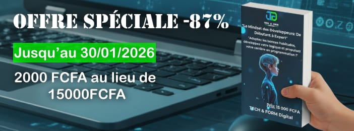 Mindset du Développeur : Le guide ultime pour passer de débutant à expert en développement web