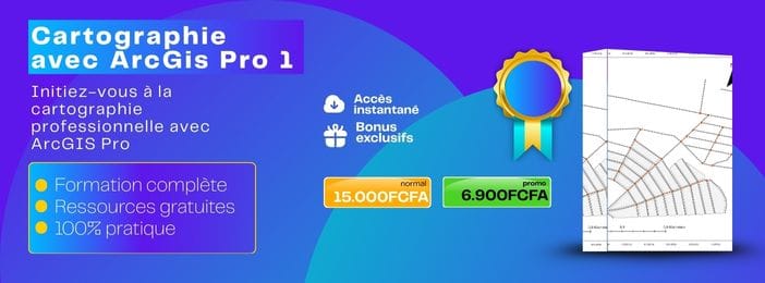 CARTOGRAPHIE ET SIG AVEC ARCGIS PRO niveau 1