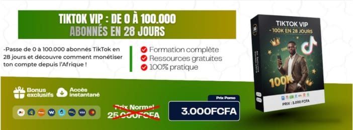 TikTok VIP : De 0 à 100.000 abonnés en 28 jours