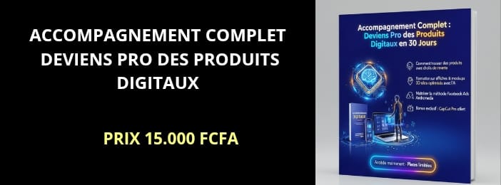 ACCOMPAGNEMENT COMPLET : DEVIENS PRO DE LA VENTE DES PRODUITS DIGITAUX